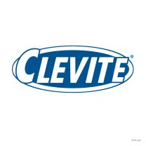Clevite CB-1598 P 0.25